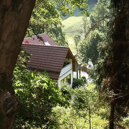 Haus Am Berg Apartment Lonau