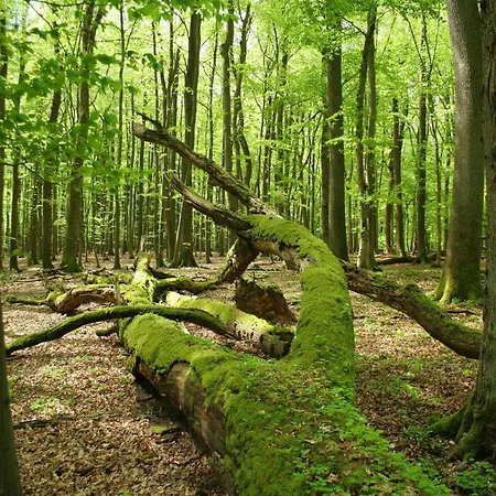 Haus Am Berg * Lonau